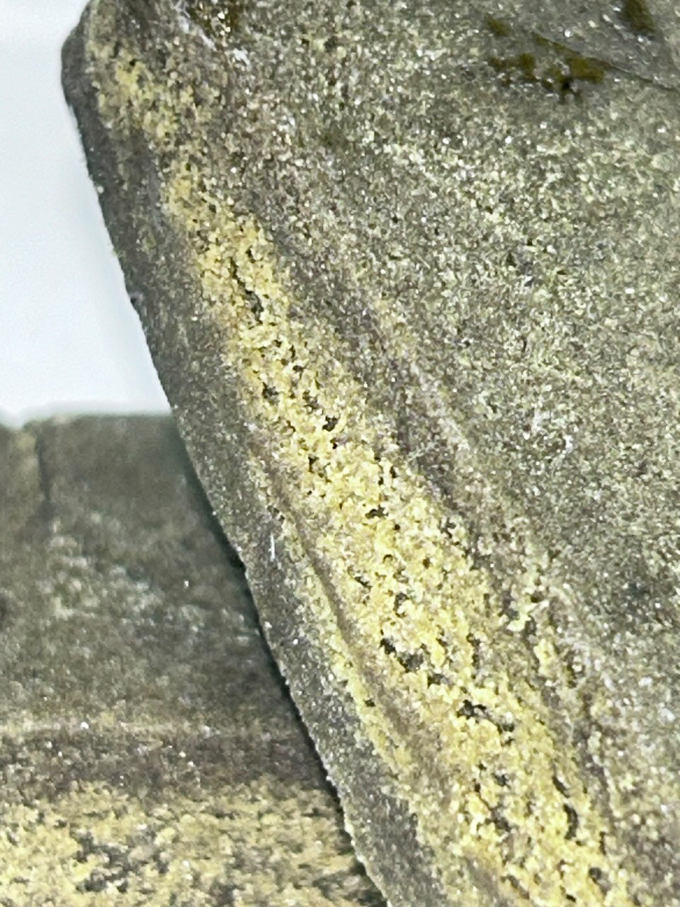 Polen Hash Golden Cream