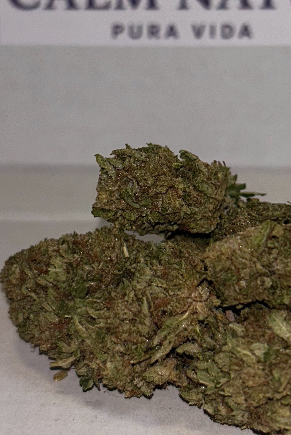 Gaz Octane - PREMIUM