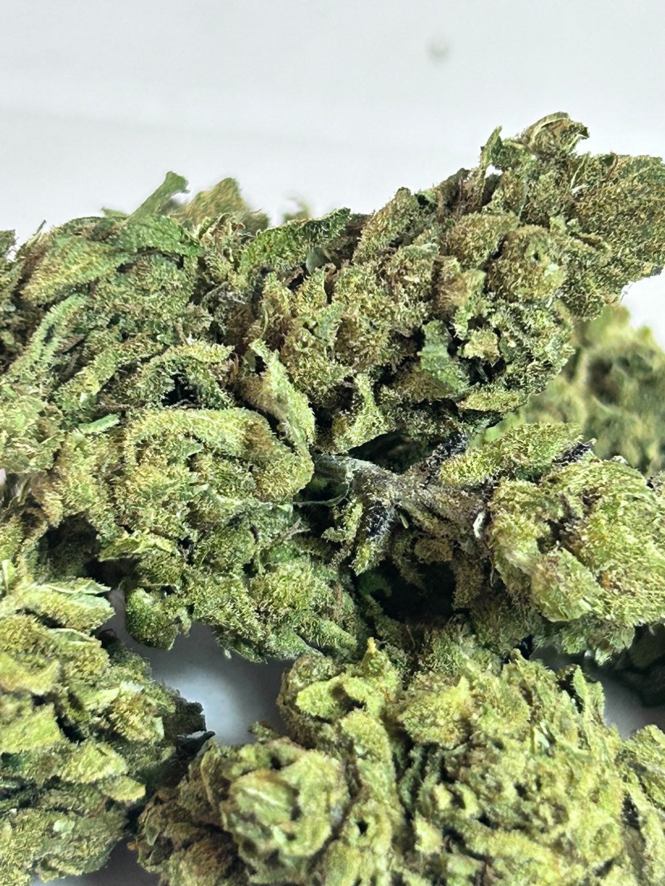 Gorilla Glue CBD premium.