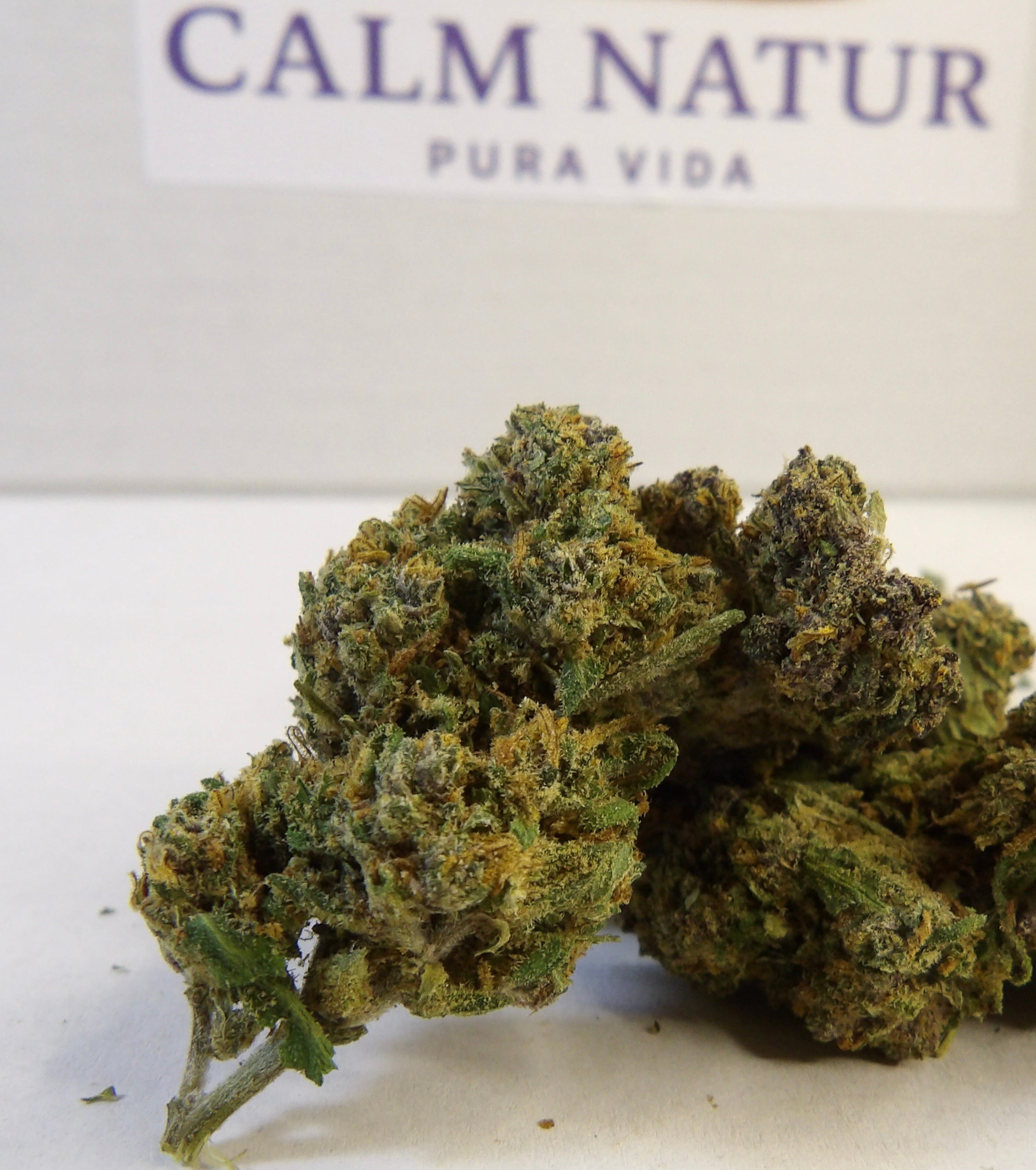 Pink phanter premium