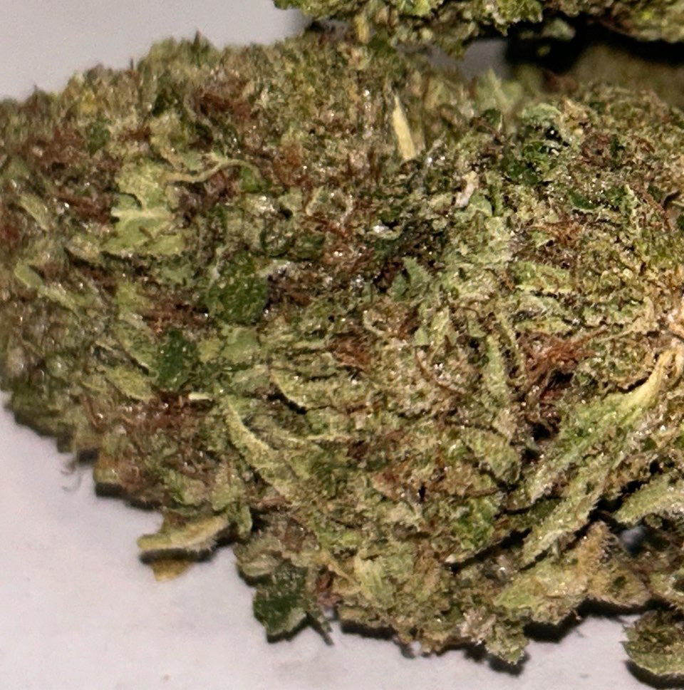 Gaz Octane - PREMIUM