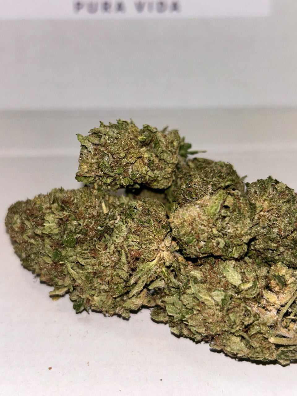 Gaz Octane - PREMIUM