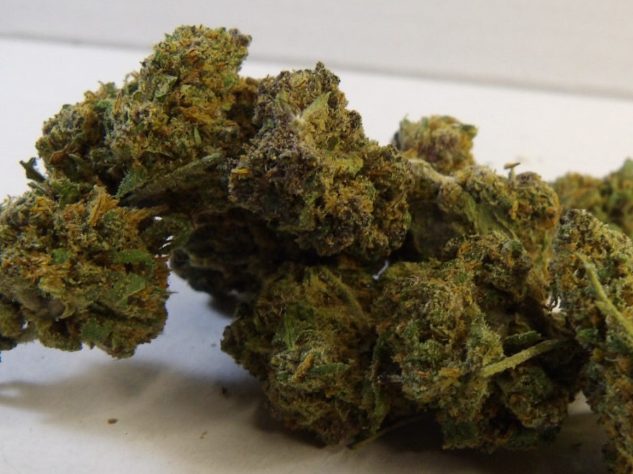 Pink phanter premium