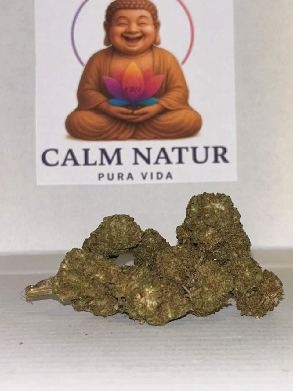 Orange Buds Hidroponic