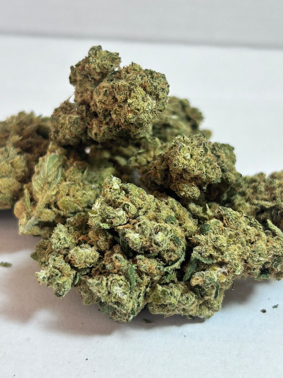 🌴Sweet Island Skunk – Edición Premium