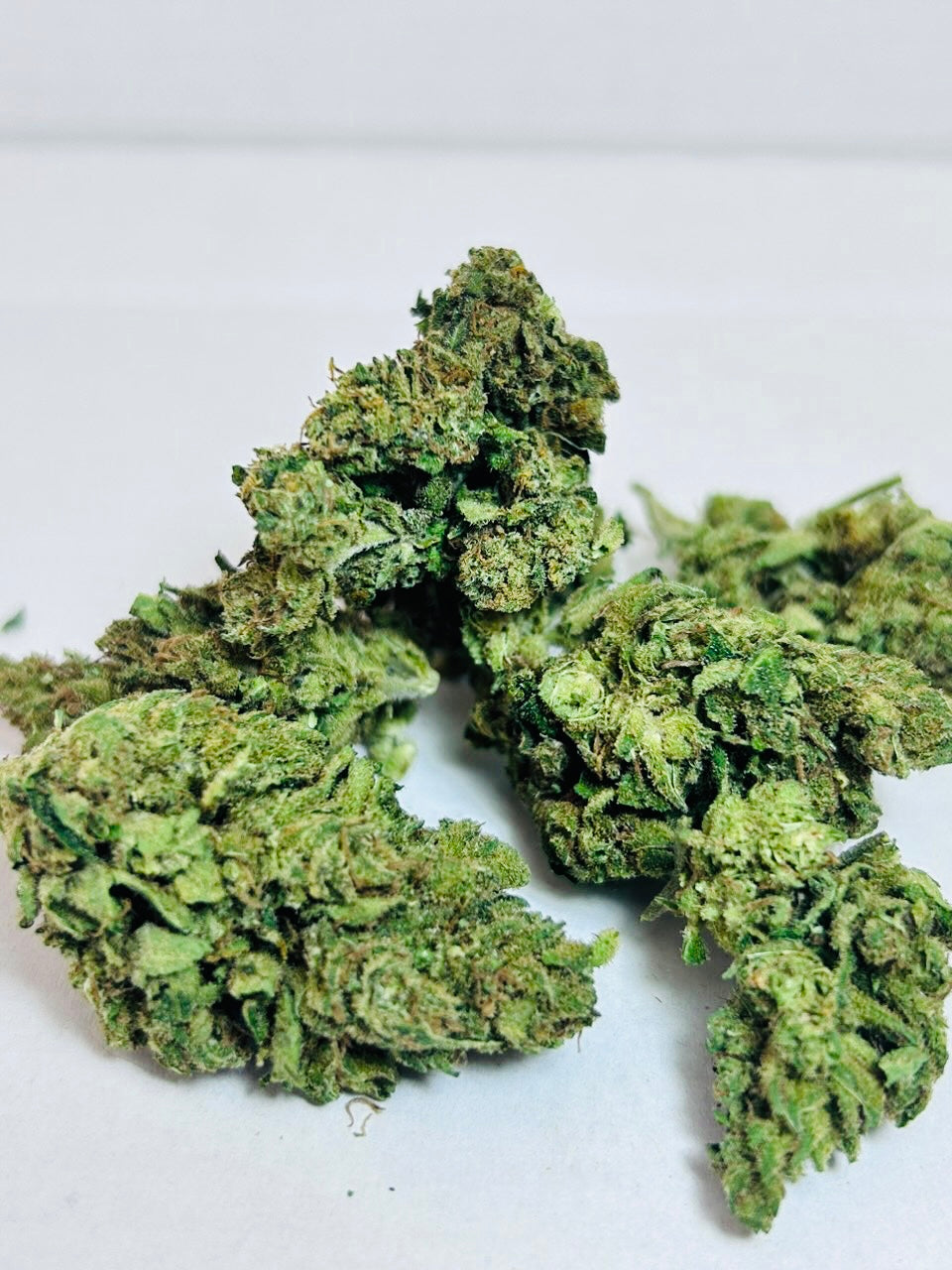Strawberry - cogollo PREMIUM