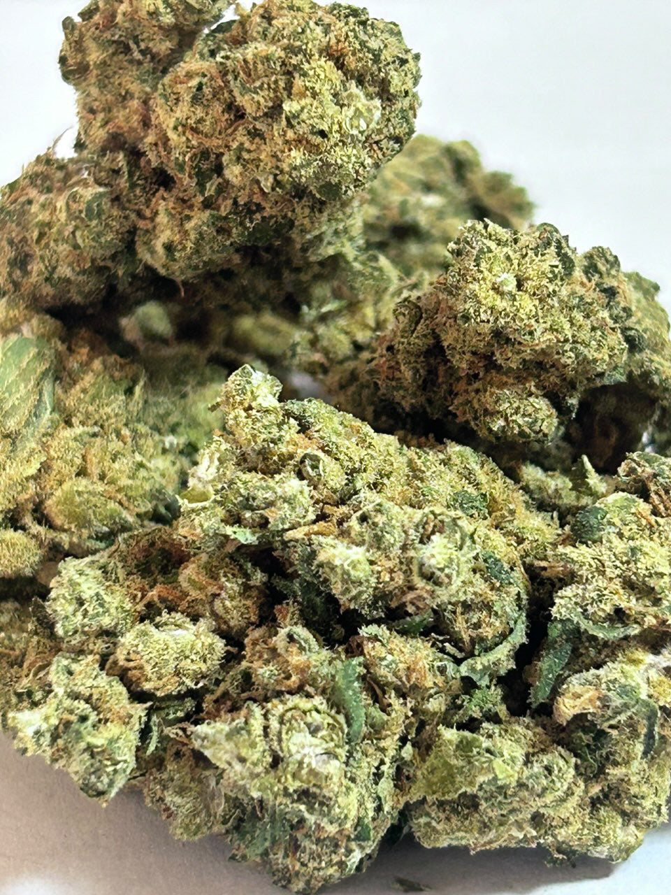 🌴Sweet Island Skunk – Edición Premium