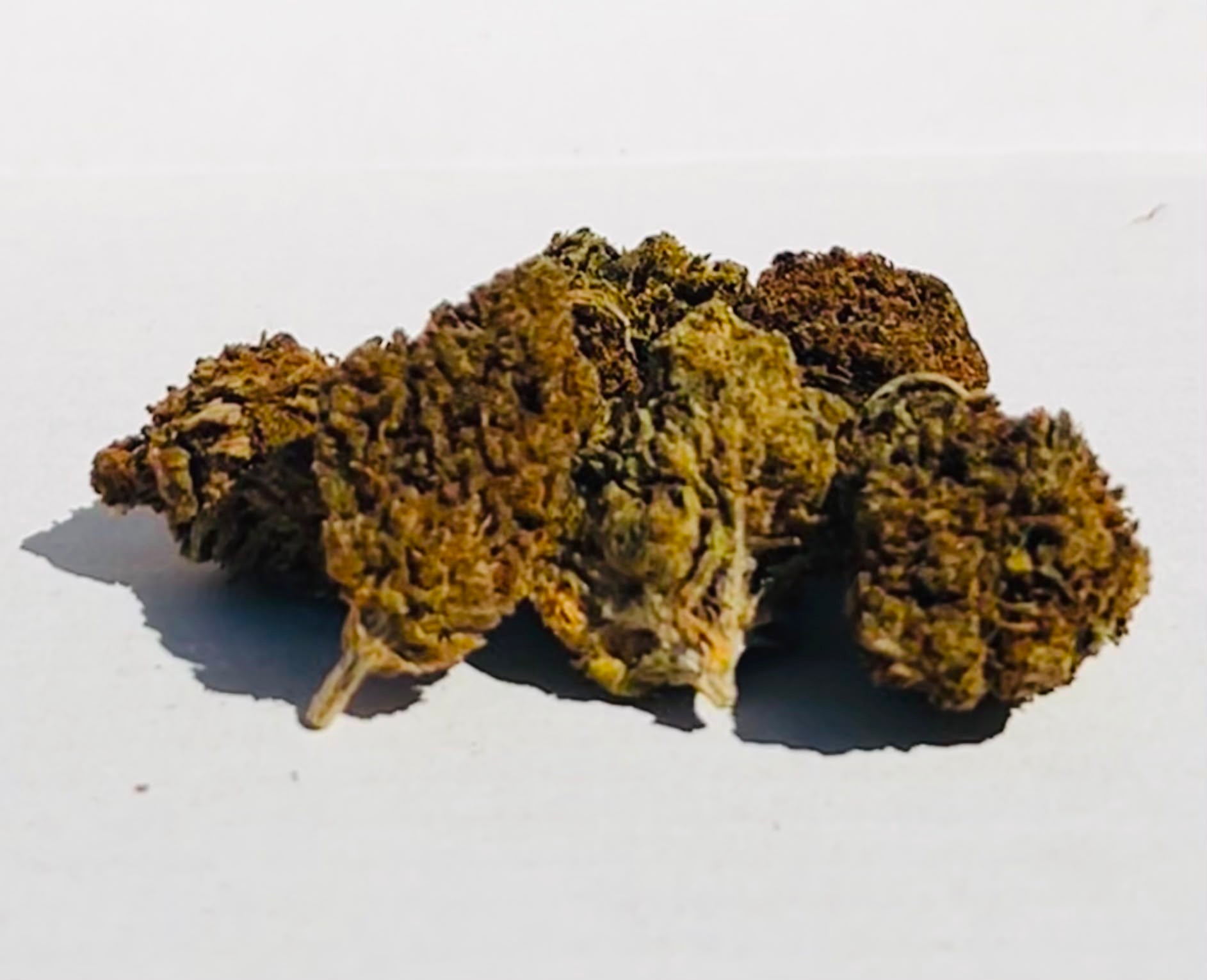 BUBBA (MINI BUDS)