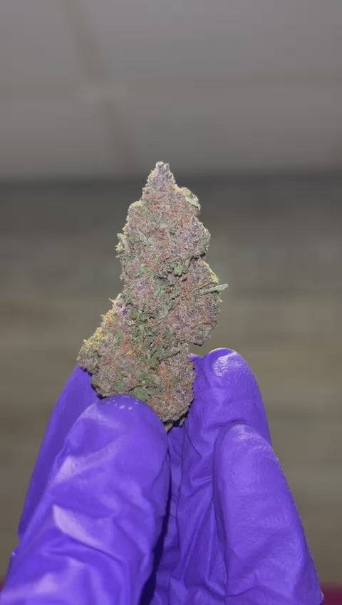 Pink phanter premium