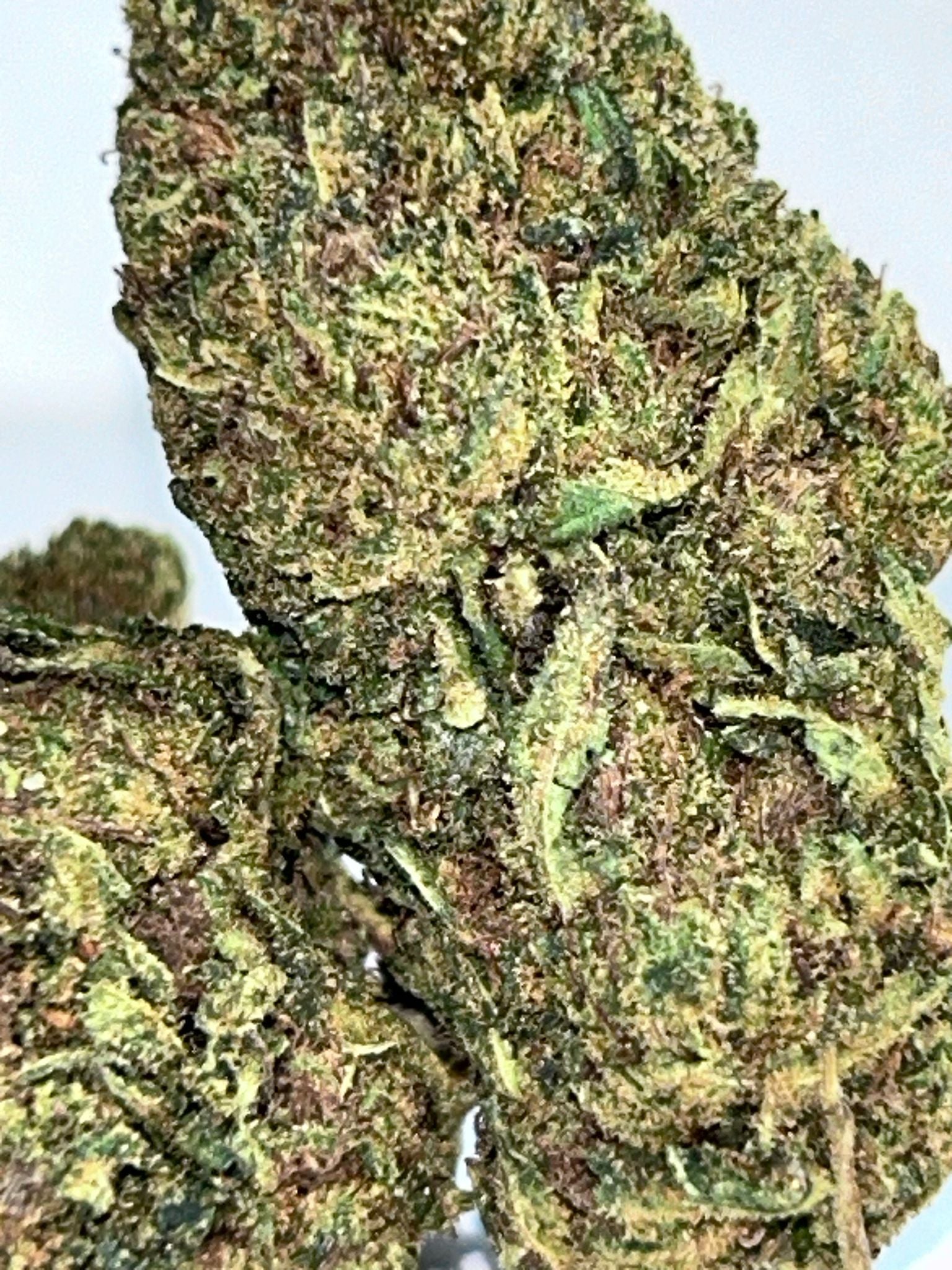 OG kush